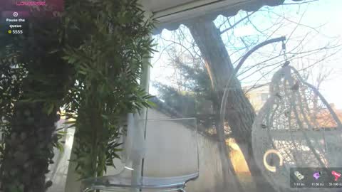 lexi_storm online show from 12/19/25, 08:21