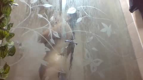 leyla_horny_bg online show from 12/22/25, 09:56