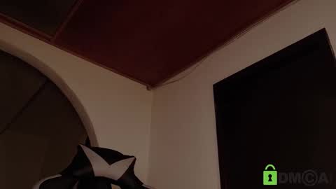 Snapshot of lia__summer chatting on 01/13/26, 01:55 lia__summer online show from 01/13/26, 01:55