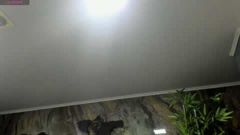 LIAM KLEIN online show from 01/25/25, 11:23