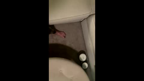 Snapshot of liamleggings chatting on 12/01/25, 02:38 liamleggings online show from 12/01/25, 02:38