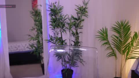 Lia Sweet online show from 06/19/26, 04:22