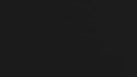 Daniel online show from 11/17/25, 06:14