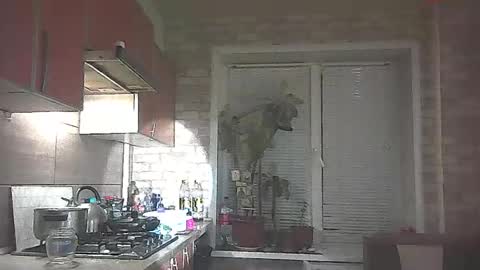 LilaniLoverx online show from 01/31/26, 08:51