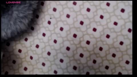 Snapshot of lildragon069 chatting on 12/07/24, 09:28 lildragon069 online show from 12/07/24, 09:28