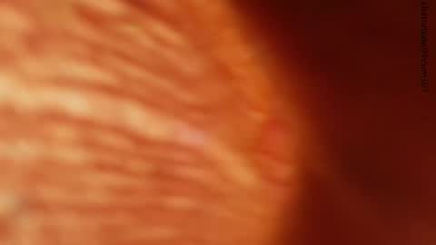 your love online show from 11/24/25, 01:27