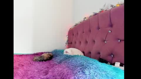 Lilith online show from 02/08/25, 08:32