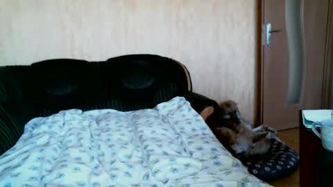 Snapshot of lilithris chatting on 04/01/26, 12:28 Lenkaa777 online show from 04/01/26, 12:28