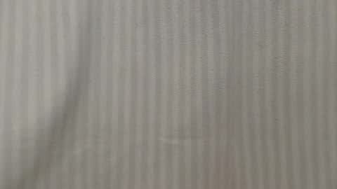 Snapshot of lillkit chatting on 03/10/26, 11:21 Lilu online show from 03/10/26, 11:21