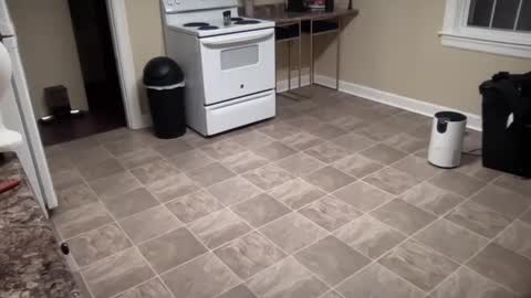 Snapshot of lilly_adams88 chatting on 02/21/25, 01:00 lilly_adams88 online show from 02/21/25, 01:00