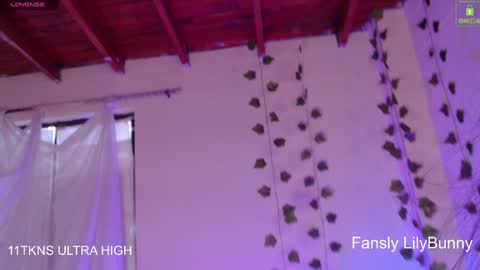 Snapshot of lily_bunny_1 chatting on 12/06/24, 10:19 Fansly LilyBunny- help me reach 50 thumbs up online show from 12/06/24, 10:19