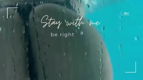 Lily online show from 11/09/25, 06:33