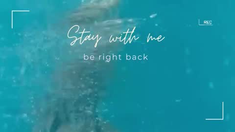 Lily online show from 11/10/25, 06:45