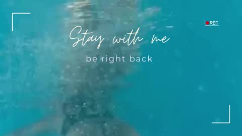 Lily online show from 11/19/25, 12:27