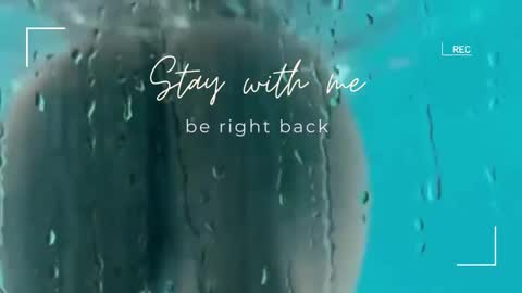 Snapshot of lily_foster_ chatting on 12/21/25, 06:31 Lily online show from 12/21/25, 06:31