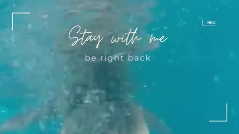 Snapshot of lily_foster_ chatting on 02/18/26, 06:42 Lily online show from 02/18/26, 06:42