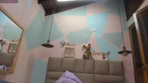 Lily online show from 02/12/25, 11:18