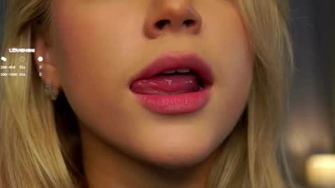 Snapshot of lipswithsmileonthem chatting on 02/27/25, 01:05 Amelia online show from 02/27/25, 01:05