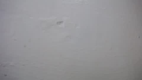 lisa_branch online show from 10/27/25, 10:41