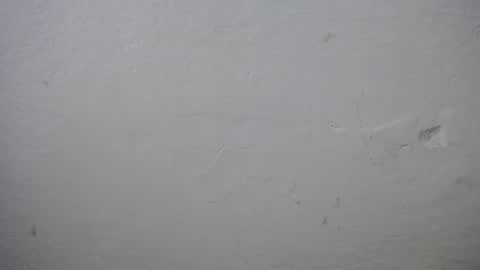 lisa_branch online show from 12/20/25, 11:17