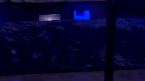 lisa_elfy online show from 01/24/25, 03:45