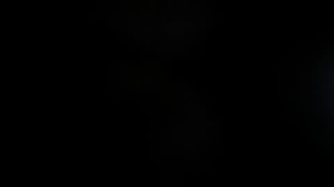 Lisa  online show from 11/23/25, 11:54