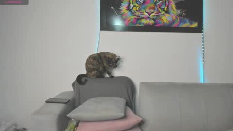 Snapshot of little_caro13 chatting on 03/11/25, 09:26 Independent model carolina online show from 03/11/25, 09:26