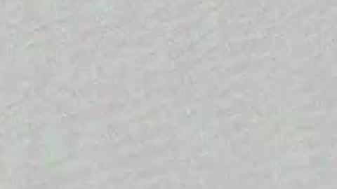 Snapshot of little_pearl_ chatting on 04/03/26, 07:50 Adaline online show from 04/03/26, 07:50