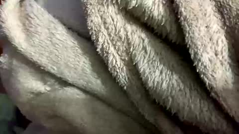 Snapshot of little_sissy_wendy chatting on 02/28/25, 09:33 little_sissy_wendy online show from 02/28/25, 09:33