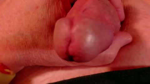 Snapshot of littlebits1234 chatting on 02/23/26, 04:43 Littlebits online show from 02/23/26, 04:43