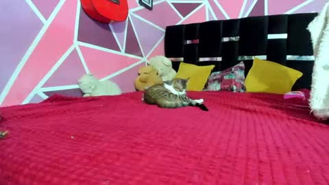          --- Onlyfans Free --  online show from 12/20/25, 03:02