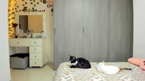 Luna online show from 03/29/26, 10:21