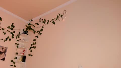 Lixie online show from 01/20/25, 12:04