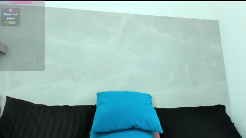 Snapshot of liz_ortega30 chatting on 01/17/26, 11:48 liza online show from 01/17/26, 11:48