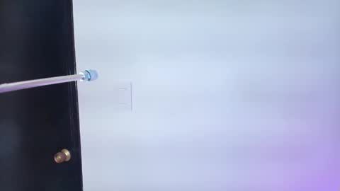 Snapshot of lizz_tender chatting on 02/06/25, 11:54 Lizz online show from 02/06/25, 11:54