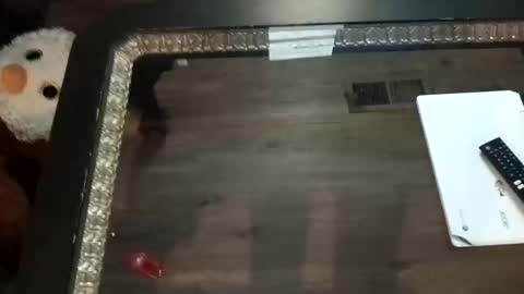 Snapshot of ljandcherry chatting on 11/01/25, 07:21 LjCherry online show from 11/01/25, 07:21