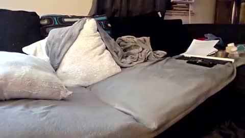 LongDick Daddy online show from 09/09/25, 03:28