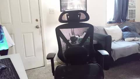 Snapshot of lngdickdaddy chatting on 01/05/26, 06:22 LongDick Daddy online show from 01/05/26, 06:22