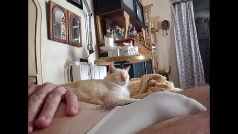 Snapshot of lo82 chatting on 10/03/25, 11:51 Lo82 online show from 10/03/25, 11:51