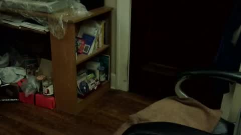 loades182025 online show from 11/12/25, 03:40