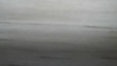 Snapshot of lockedpeepee chatting on 01/08/25, 08:18 lockedpeepee online show from 01/08/25, 08:18