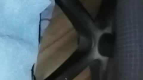 Snapshot of loco_boy007 chatting on 02/16/26, 07:10 loco_boy007 online show from 02/16/26, 07:10