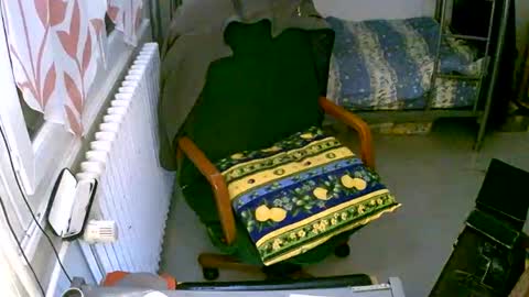 Snapshot of lokoum39 chatting on 12/02/24, 05:15 lokoum39 online show from 12/02/24, 05:15