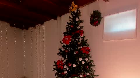 mara online show from 12/06/24, 07:56