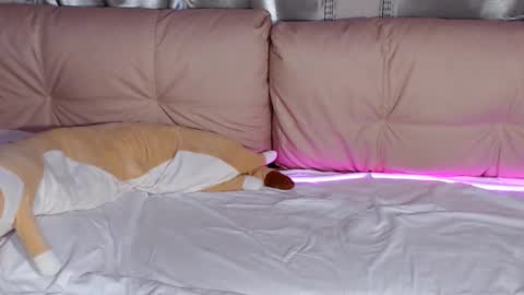 Snapshot of lolacash777 chatting on 02/17/26, 08:26 lolacash777 online show from 02/17/26, 08:26