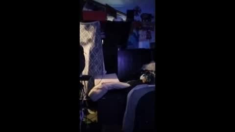Mr. FogoDeChao online show from 06/11/26, 12:32
