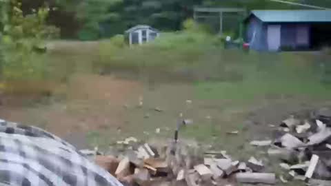 longtimerambler online show from 10/11/25, 09:02