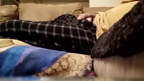 Snapshot of looking4bush chatting on 01/13/26, 03:34 looking4bush online show from 01/13/26, 03:34