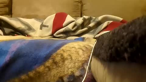 Snapshot of looking4bush chatting on 01/19/26, 05:55 looking4bush online show from 01/19/26, 05:55