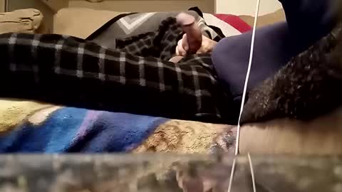 Snapshot of looking4bush chatting on 03/18/26, 01:09 looking4bush online show from 03/18/26, 01:09